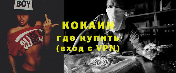 твердый Абаза