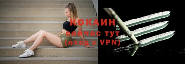твердый Абаза