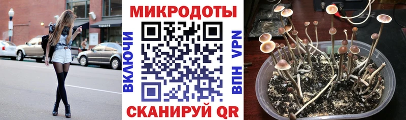 закладки  Струнино  Галлюциногенные грибы ЛСД 